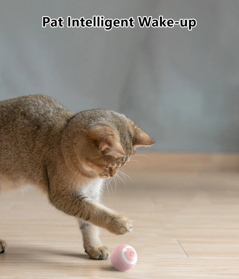 Gato bola interativa inteligente gato brinquedos interior automático rolamento bola mágica eletrônico interativo gato brinquedo gato jogo acessórios