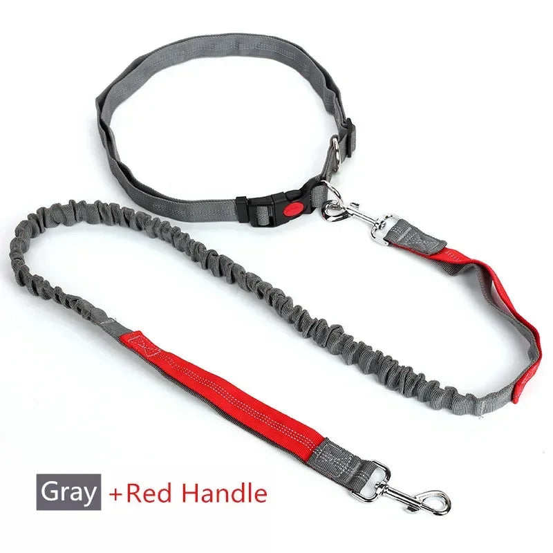 Trela retrátil para cães com corda de cintura ajustável, mão livre, corrida, ciclismo, cães grandes, elasticidade para animais de estimação, chumbo, suprimentos para animais de estimação