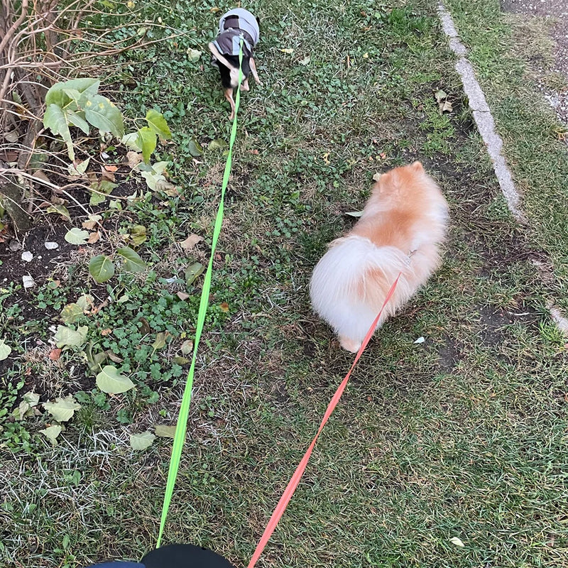 Trela retrátil automática para cães, 3m, com lanterna led, saco de resíduos, roleta, corda de tração dupla de 360 graus, suprimentos para animais de estimação