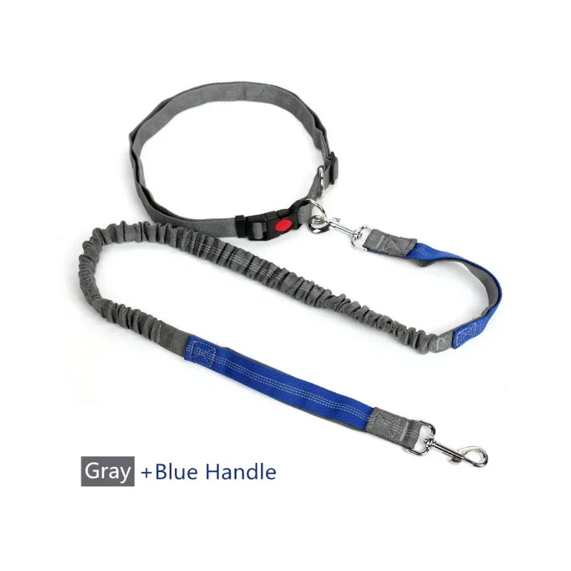 Trela retrátil para cães com corda de cintura ajustável, mão livre, corrida, ciclismo, cães grandes, elasticidade para animais de estimação, chumbo, suprimentos para animais de estimação