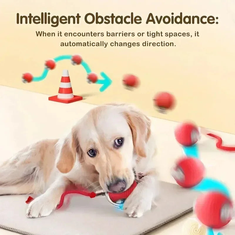 Brinquedo interativo de bola de gato, bola de rolamento automática com cauda, brinquedo interativo inteligente recarregável para animais de estimação, mouse inteligente para gato