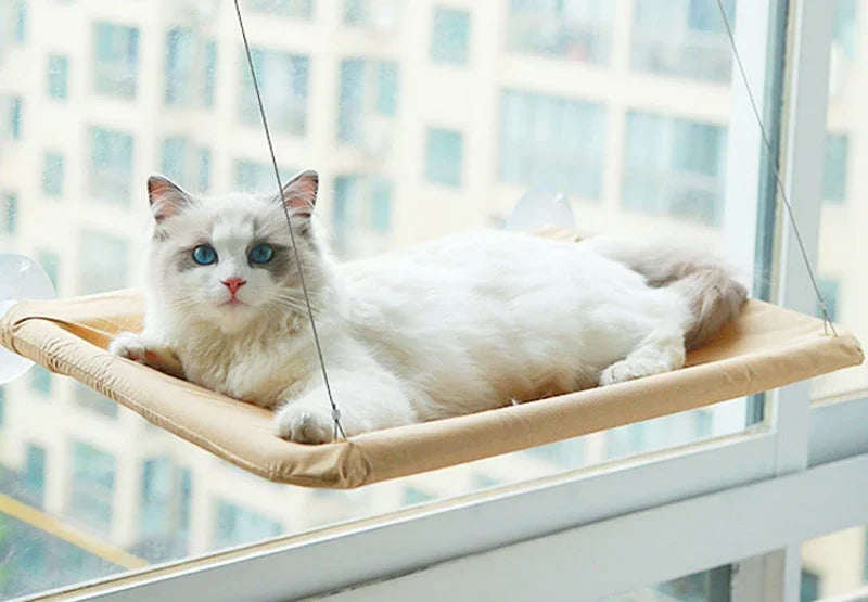 20kg pet gato rede pendurado cama de gato rolamento confortável gato ensolarado janela assento montar gatinho escalada quadro acessórios para animais de estimação