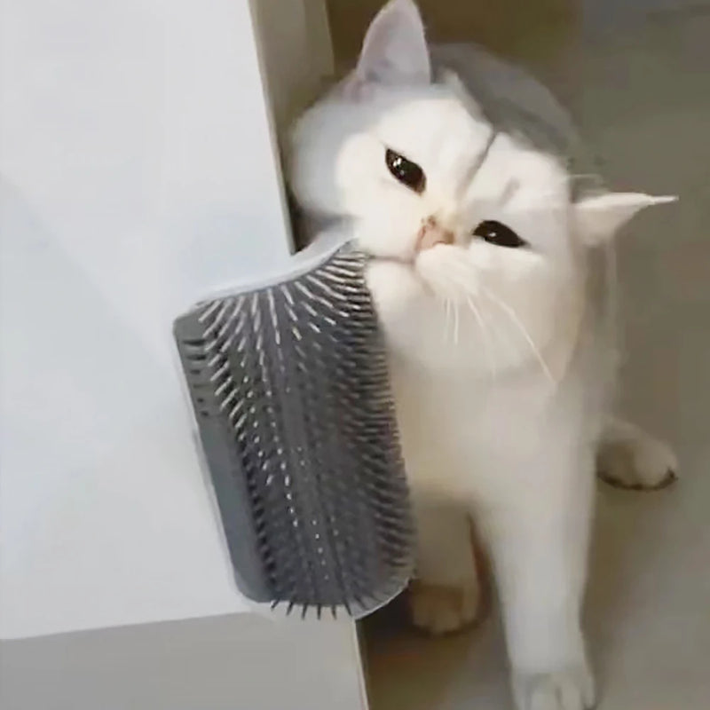 Item mais vendido massageador para gatos pp material animais de estimação bens escova remover pente de cabelo aliciamento mesa cães cuidados reais