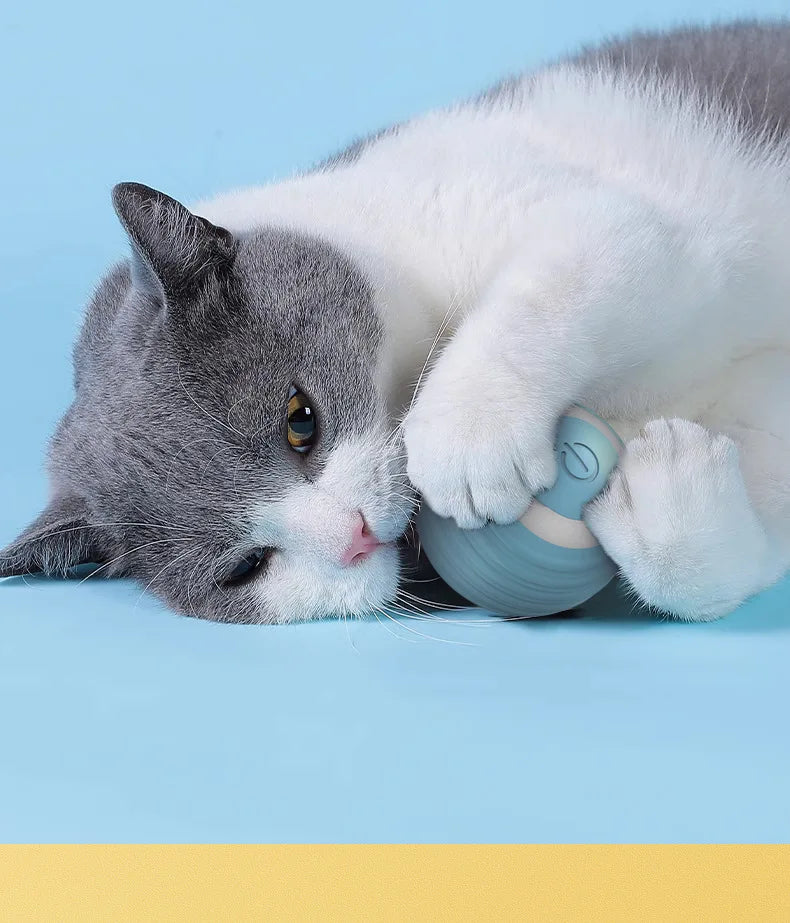 Gato bola interativa inteligente gato brinquedos interior automático rolamento bola mágica eletrônico interativo gato brinquedo gato jogo acessórios