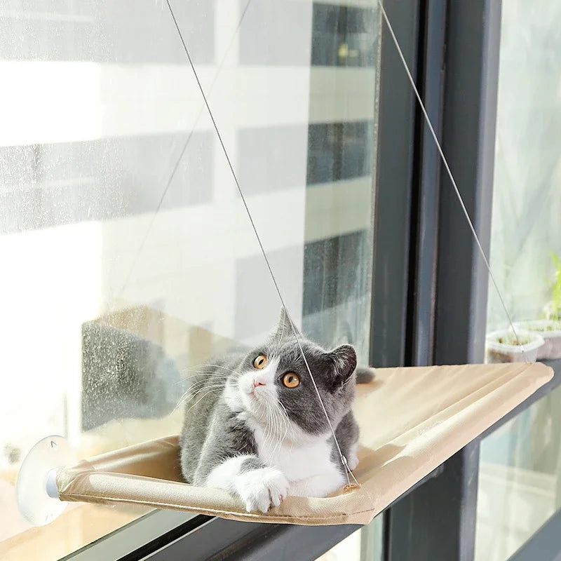 20kg pet gato rede pendurado cama de gato rolamento confortável gato ensolarado janela assento montar gatinho escalada quadro acessórios para animais de estimação