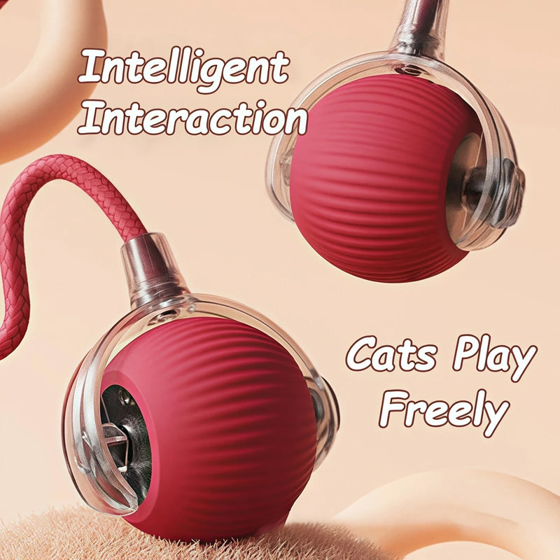 Novo gato bola interativa brinquedo bola de rolamento automático falso cauda recarregável inteligente animal de estimação brinquedo elétrico cão gato treinamento imitar mouse