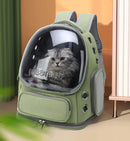 Bolsa transparente para transportar gatos, mochila de viagem ao ar livre para gatos, cães pequenos, respirável, bolsa de transporte para gatos, suprimentos para animais de estimação