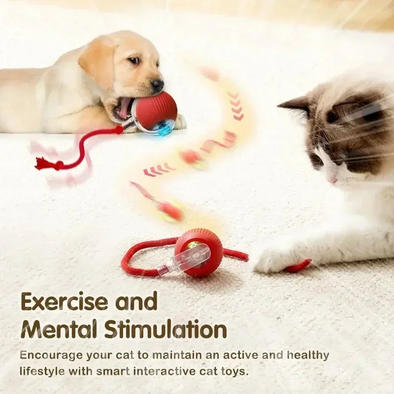 Brinquedo interativo de bola de gato, bola de rolamento automática com cauda, brinquedo interativo inteligente recarregável para animais de estimação, mouse inteligente para gato