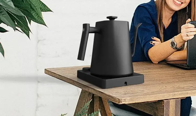 Chaleira elétrica pescoço de ganso 1200w com controle de temperatura chaleira elétrica para café e chá bule de café 110v/220v