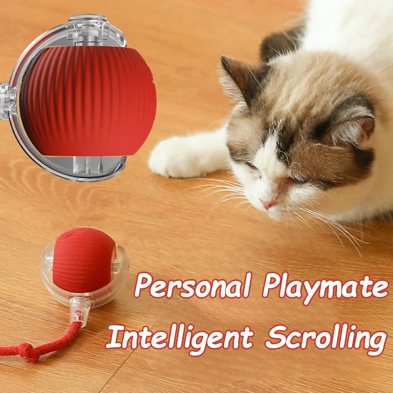 Novo gato bola interativa brinquedo bola de rolamento automático falso cauda recarregável inteligente animal de estimação brinquedo elétrico cão gato treinamento imitar mouse