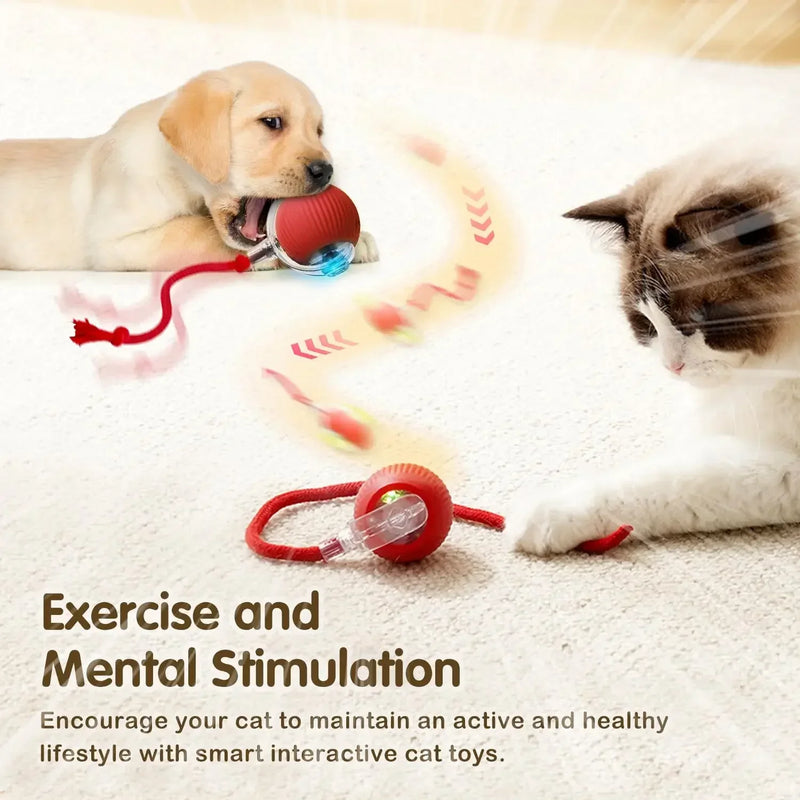 Brinquedo interativo de bola de gato, bola de rolamento automática com cauda, brinquedo interativo inteligente recarregável para animais de estimação, mouse inteligente para gato