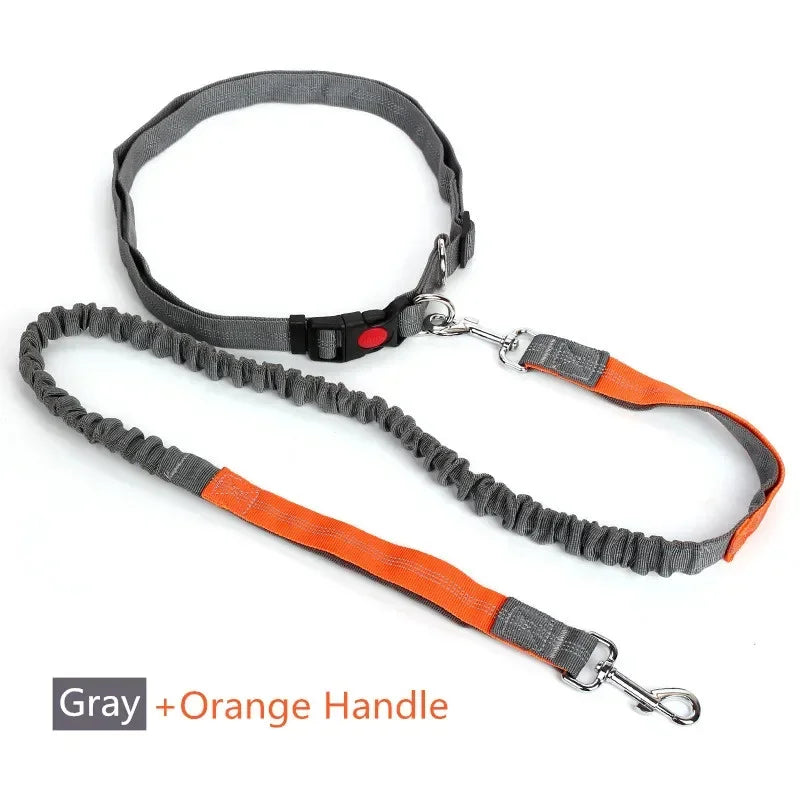 Trela retrátil para cães com corda de cintura ajustável, mão livre, corrida, ciclismo, cães grandes, elasticidade para animais de estimação, chumbo, suprimentos para animais de estimação